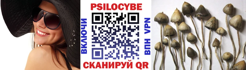 Галлюциногенные грибы Psilocybine cubensis Аша